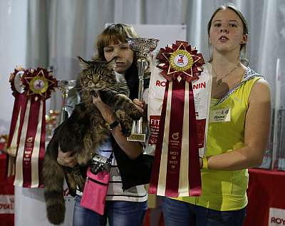   '--' 22-23  2014 4_47_169A8597 copy.jpg